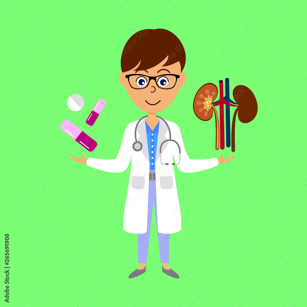 Cartoon doctor, kidneys and medicine. Healthcare concept. Flat vector illustration. Cartoon doctor, kidneys and medicine. Healthcare concept. Flat vector illustration.