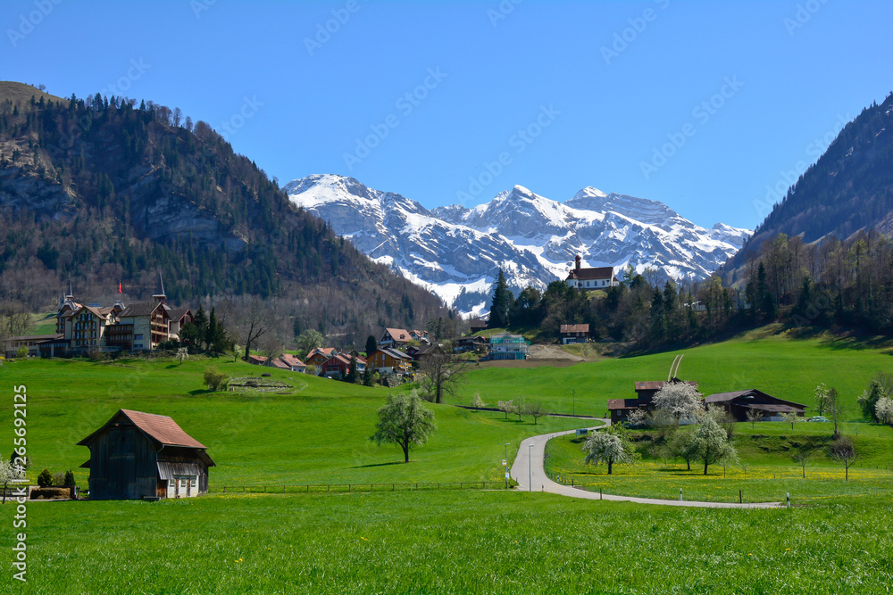 village in the alps