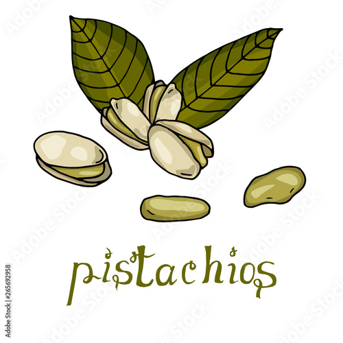 Pistachios hand drawn vector illustration with lettering