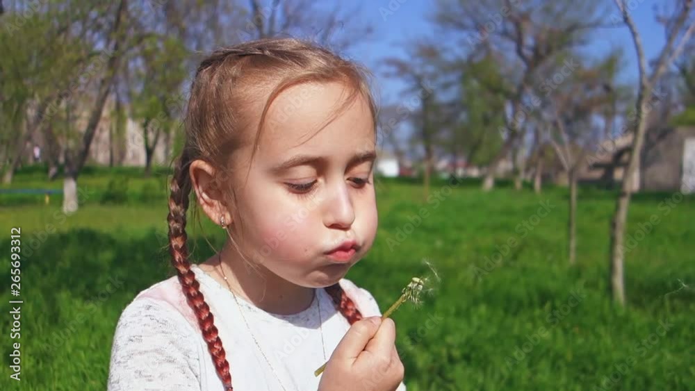 Cute little girl blowing dandelion flower outdoors. Happy child having fun in spring park. Cute little girl blowing dandelion flower outdoors. Happy child having fun in spring park.