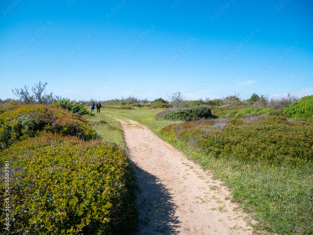 path in a sand dune  of the Protected Marine Area of Torre Guaceto. Coastal and marine nature reserve with a defensive tower of the 16th century. Brindisi, Puglia (Apulia), Italy