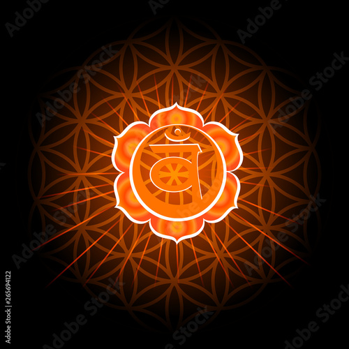 Circle mandala pattern. Swadhisthana chakra vector illustration.