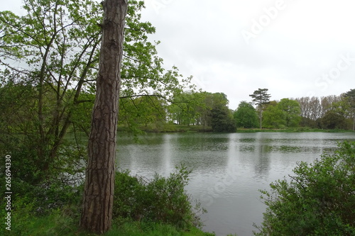Lake on the Holkham Estate, North Norfolk, England, UK