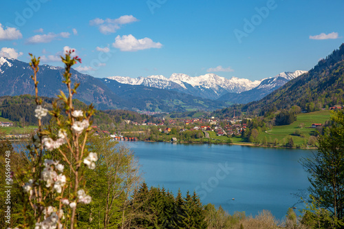 Alpsee - Frühling - Allgäu - Immenstadt photo