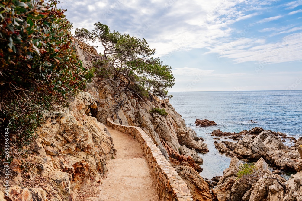Ταπετσαρία Cami de Ronda tourist track in Lloret de Mar