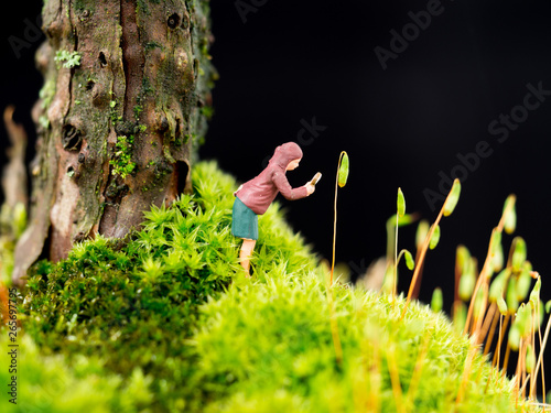miniature nature
