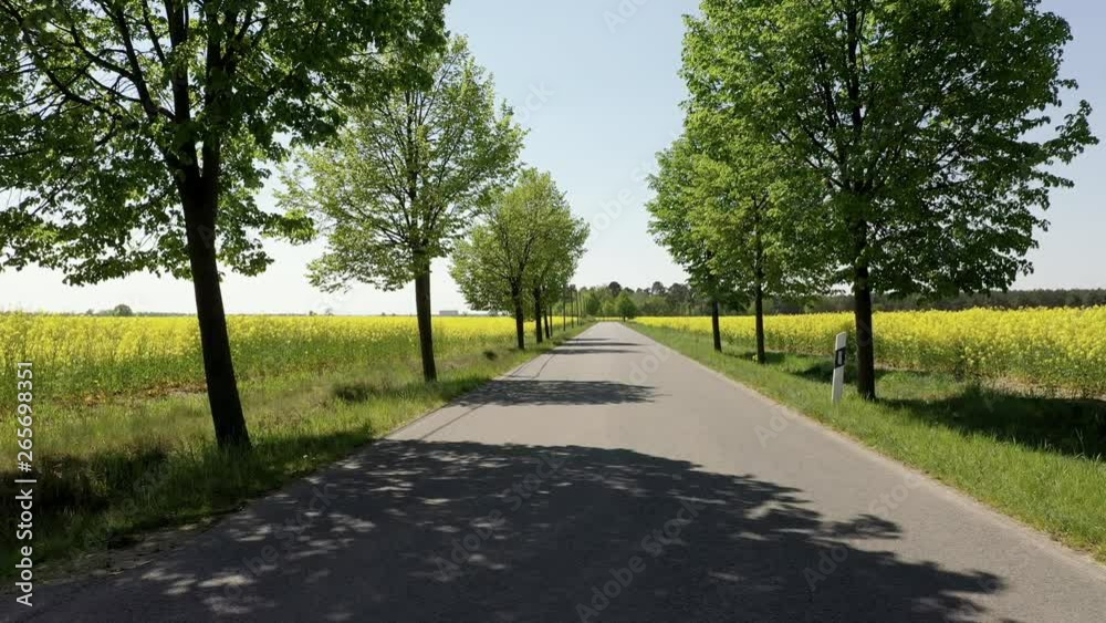 Landstrasse durch ein Rapsfeld Landstrasse durch ein Rapsfeld