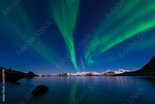 Green aurora borealis northern lights water reflection