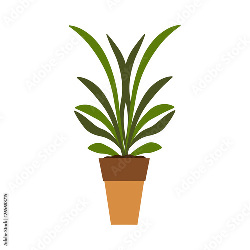 Plant pot vector icon leaf. Garden green symbol growth flower. Botanical seed stem environment indoor flora