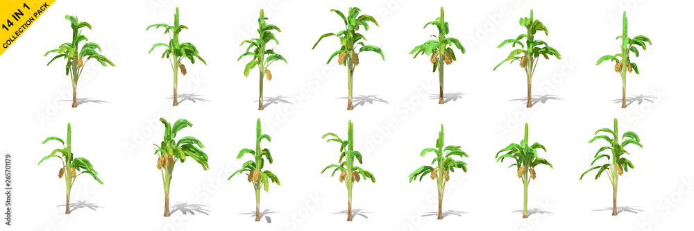 3D rendering - 14 in 1 collection of banana trees isolated over a white background use for natural poster or  wallpaper design, 3D illustration Design.