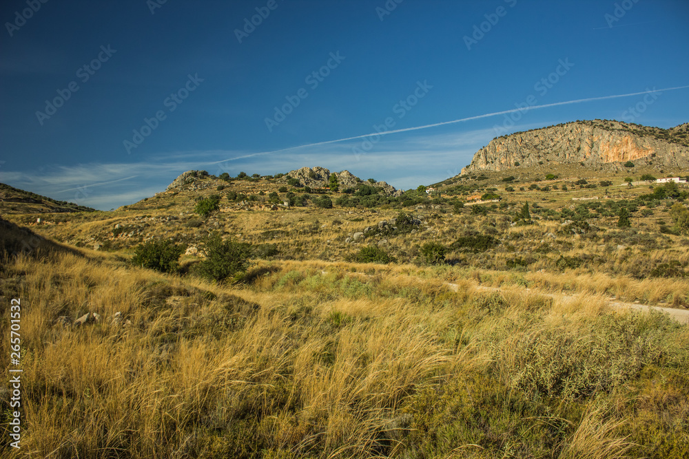 USA Nevada state in America dry wilderness hill land nature scenery landscape valley foreground and mountain background USA Nevada state in America dry wilderness hill land nature scenery landscape valley foreground and mountain background