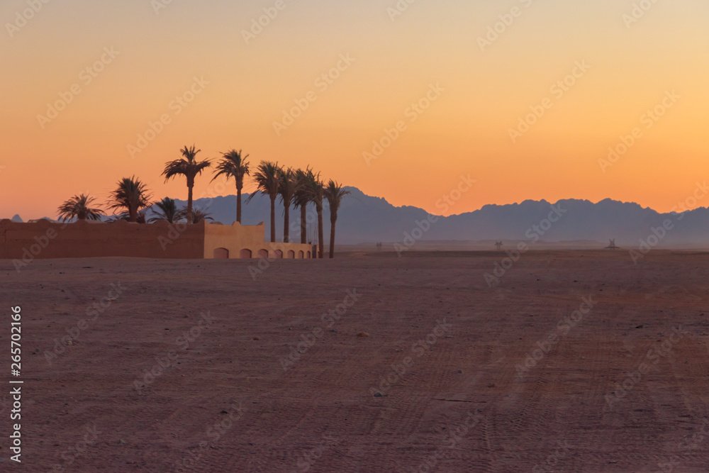 View of the Arabian desert in Egypt at sunset View of the Arabian desert in Egypt at sunset