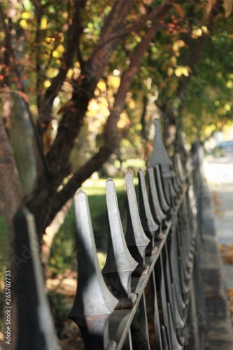Close up of Iron fence posts separating the lawn and trees from the public walkway as it fades in the distance