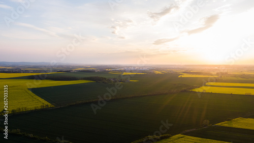 Rzepak- Krajobraz - widok z lotu ptaka © BlackMediaHouse