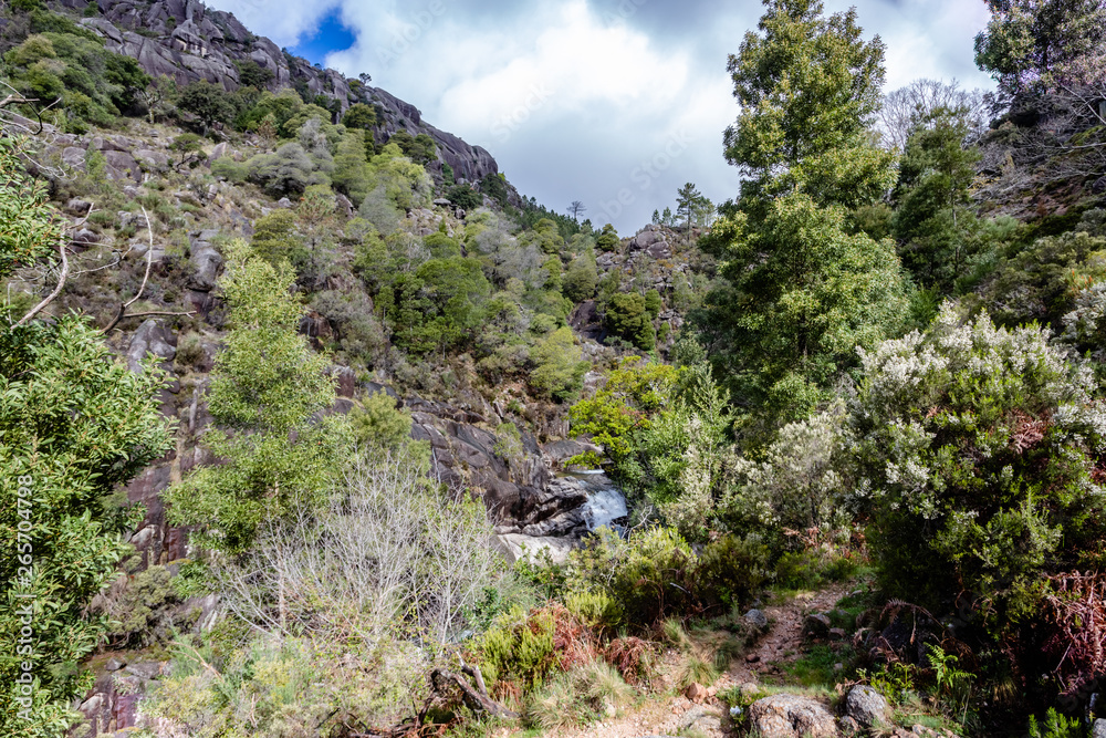 View of waterfall of Arado on Peneda Geres National Park, Portugal. View of waterfall of Arado on Peneda Geres National Park, Portugal.