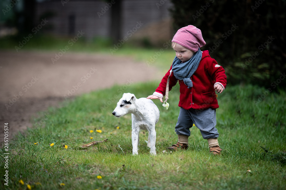 Parson Russel Terrier Hündin mit Kleinkind Parson Russel Terrier Hündin mit Kleinkind