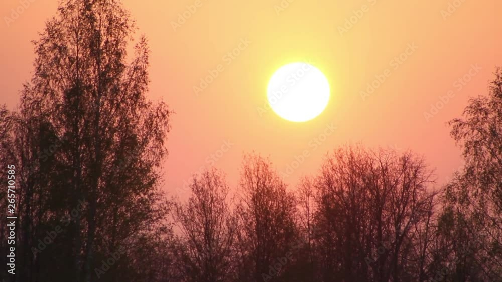 Early morning sun rises above trees without leaves. Early morning sun rises above trees without leaves.