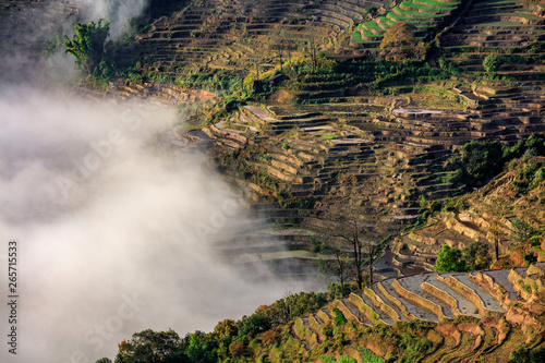 Samaba Rice Terrace Fields in Honghe County - Baohua township, Yunnan Province China. Sama Dam Multi-Color Terraces - grass, mud construction layered terraces filled with water. Hani and Yi Culture