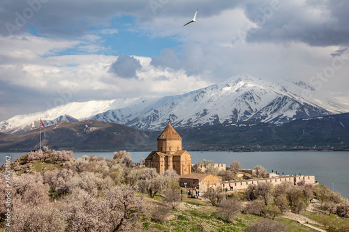 Amazing spring view of Armenian Church of the Holy Cross on Akdamar Island (Akdamar Adasi), Lake Van/Turkey. Surrounded by tree in blossom, in a middle of Akdamar Island. photo