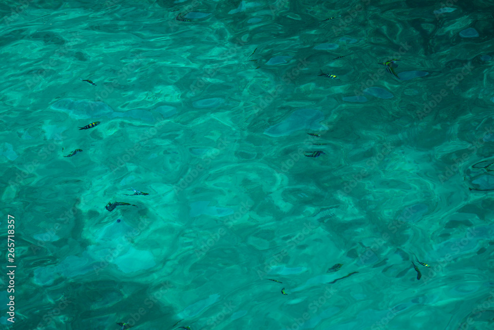 Fototapeta premium aqua blue and white sea water background