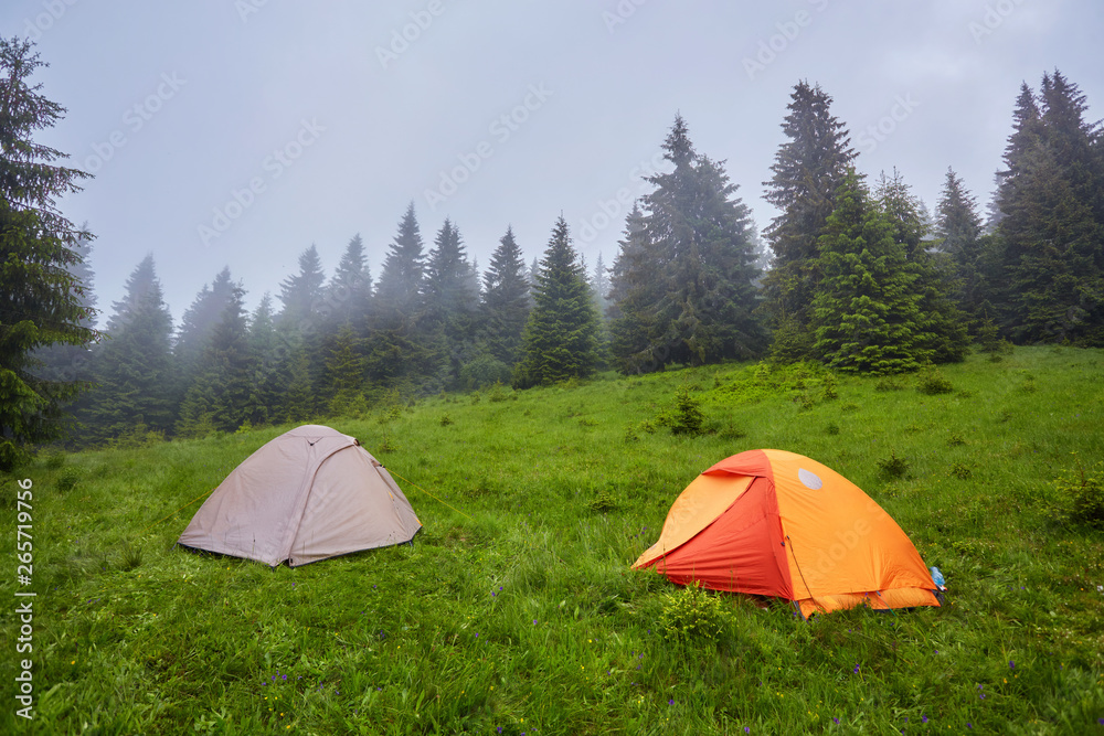 Camping and tents in the forest in the mountains Camping and tents in the forest in the mountains