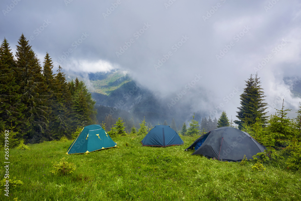 Camping and tents in the forest in the mountains