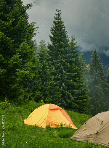 Camping and tents in the forest in the mountains