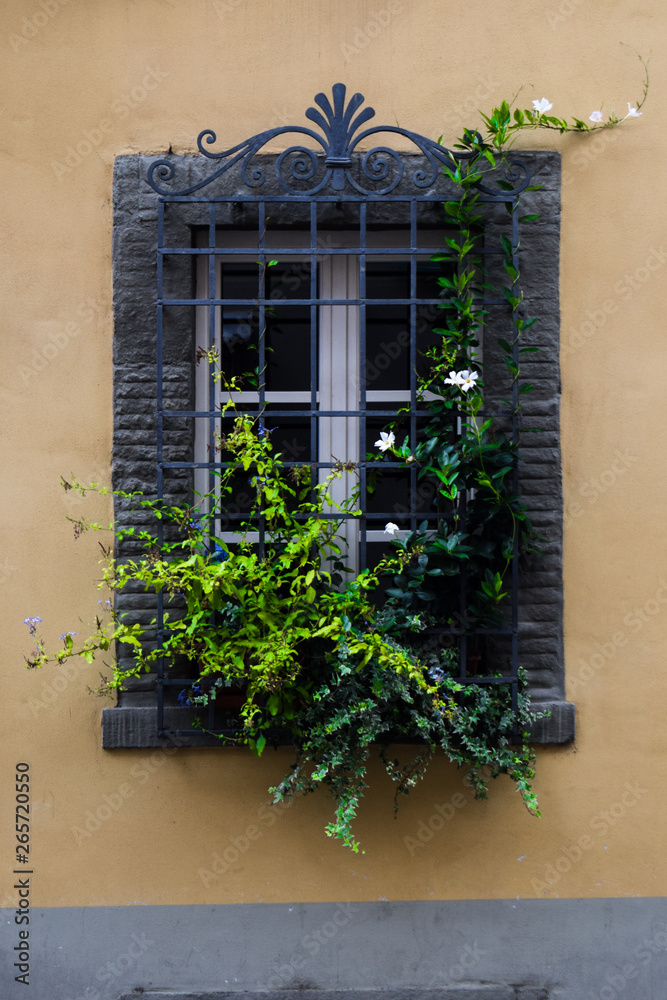 tuscan window