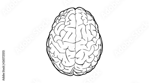 Brain top view illustration black line on white BG