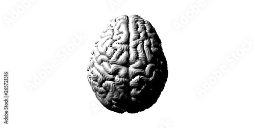 Monochrome vintage brain illustration