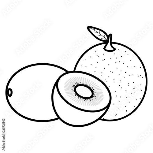 fresh kiwi with oranges fruits