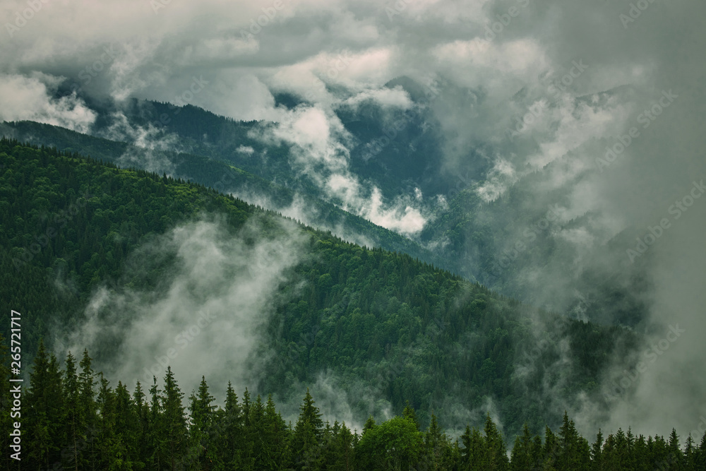 Mountain peaks in fog scenery landscape Mountain peaks in fog scenery landscape