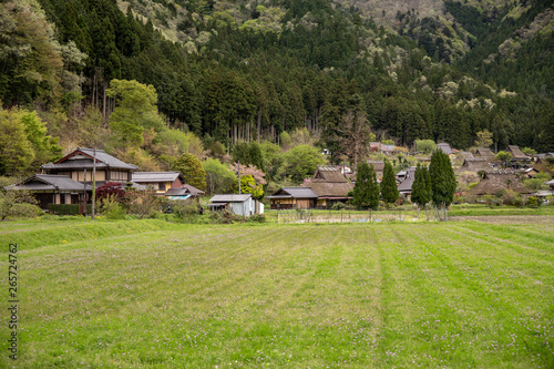 Green rice field before planting in small historic Japanese village
