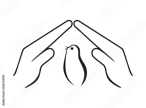 small animal bird protect