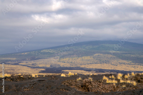 Typical Big Island volcanic landscape