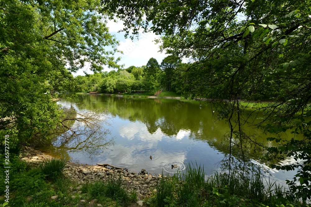 Pond in the Park in spring