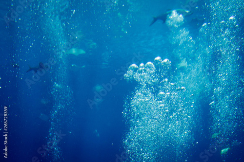 A pack of air bubbles underwater