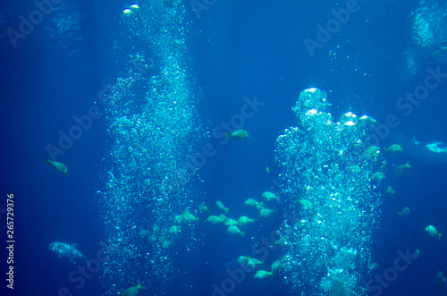 A pack of air bubbles underwater © Jazmine