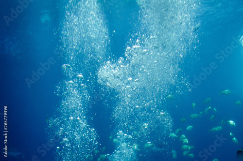 A pack of air bubbles underwater