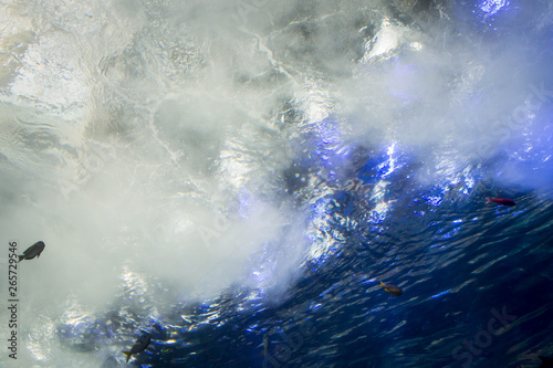 Underwater waves in aquarium tunnl