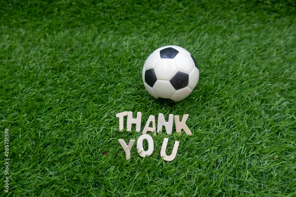 Obraz premium Soccer football with thank you word are on green grass