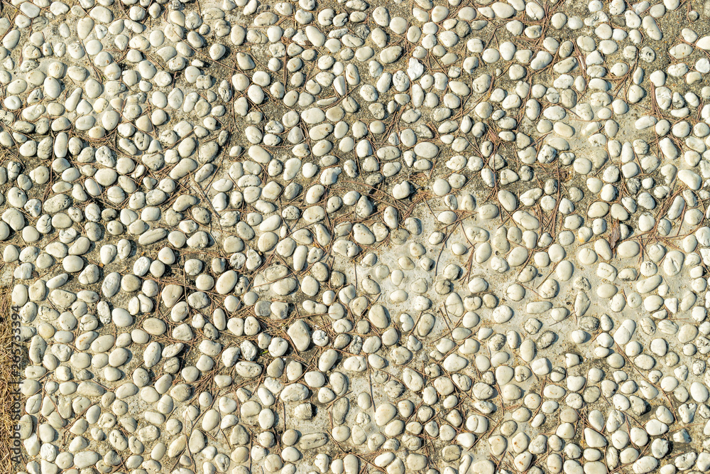 Texture of round stones with spruce needles Texture of round stones with spruce needles