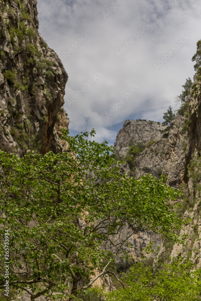 Vertical mountain landscape with copy space