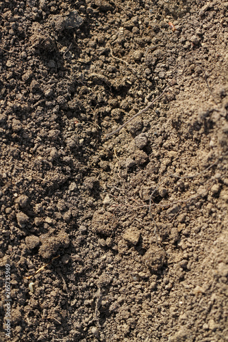  Soil texture in a spring time.