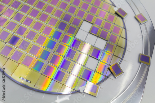 Silicon wafer with microchips fixed in a holder with a steel frame after the dicing process and separate microchips.