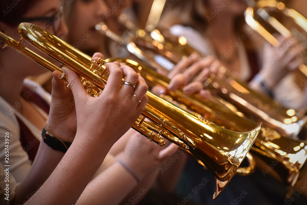 Obraz premium Blamusikkonzert