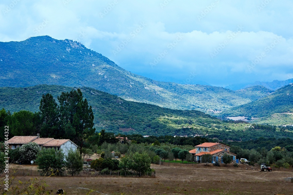 Corsica-inland near Sartene