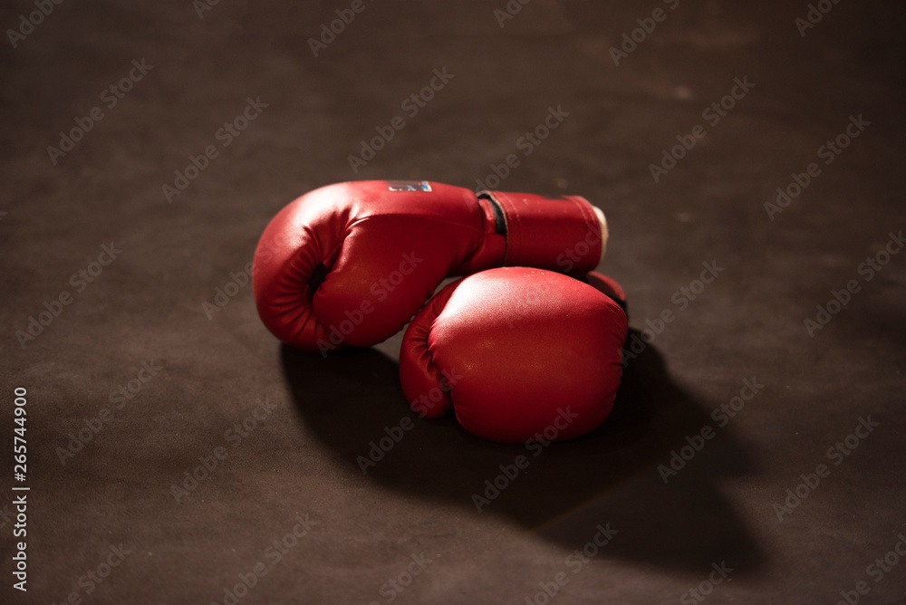  gloves on a white background close up Boxing gloves on lowkey - obrazy, fototapety, plakaty 