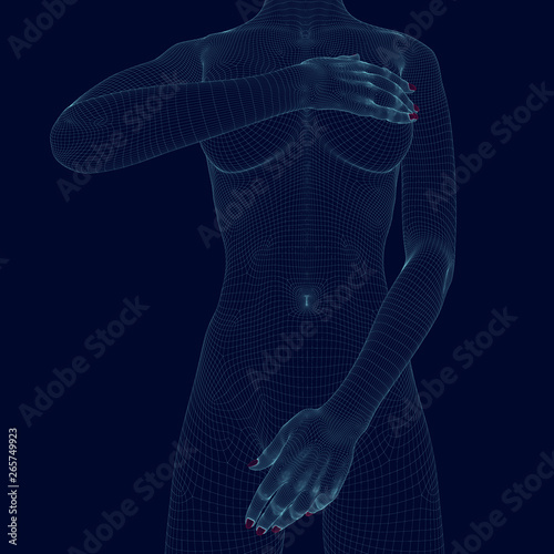 Wireframe of a naked girl, covering her body with her hands. Polygonal girl of blue lines on a dark background. 3D. Vector illustration