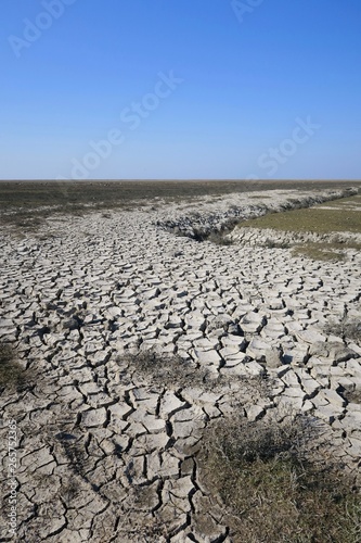 Völlig ausgetrockneter Erdboden einer Salzwiese im Deichvorland von Westerhever (Nordfriesland)